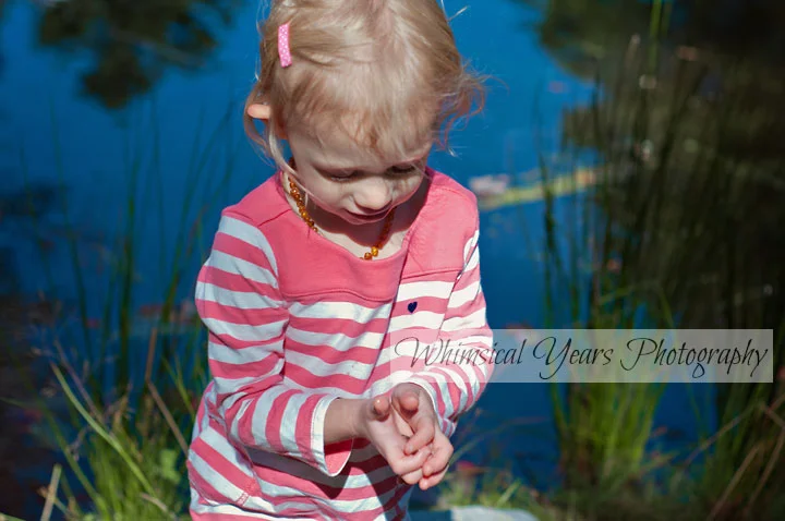 Maine Children's Photographer