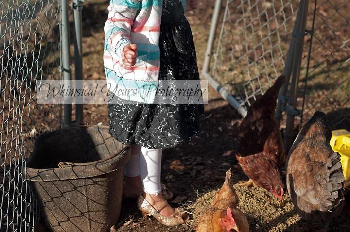 Maine Family Photographer