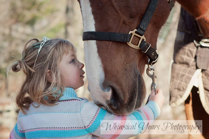 little girl looking at a big horse closeup