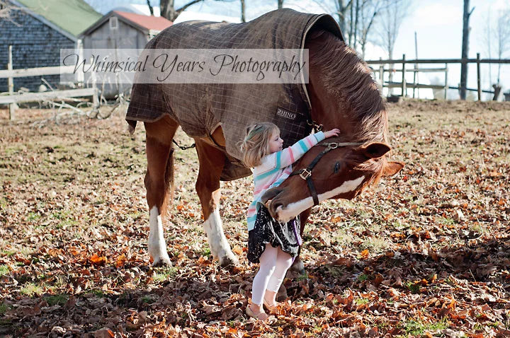 little girl hugging big horse