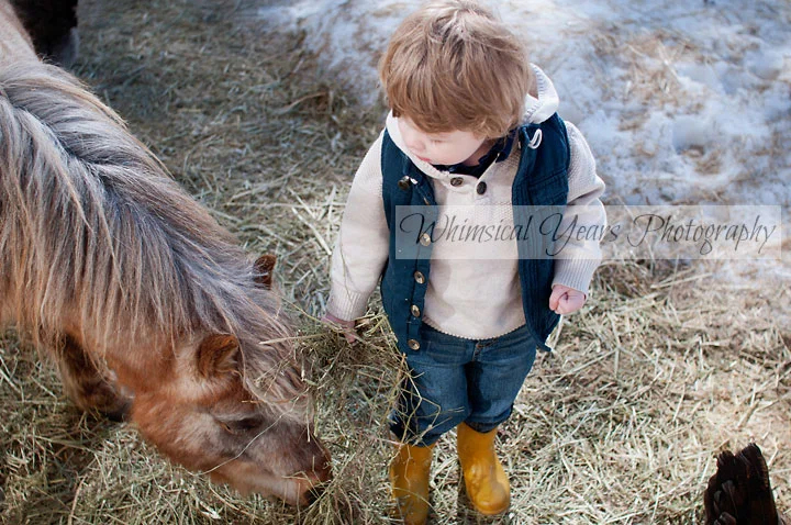 Maine Childrens Photographer