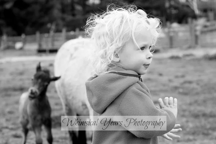 Maine childrens photographer