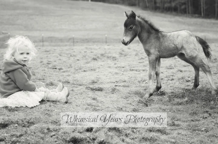 Maine childrens photographer