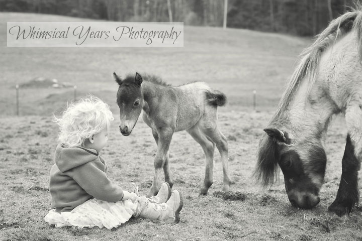 Maine childrens photographer