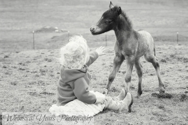 Maine childrens photographer