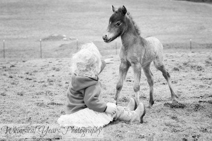 Maine childrens photographer
