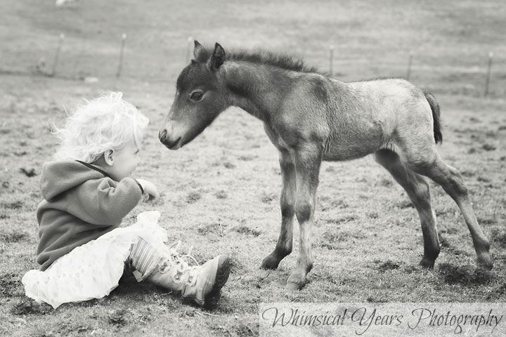 Maine childrens photographer