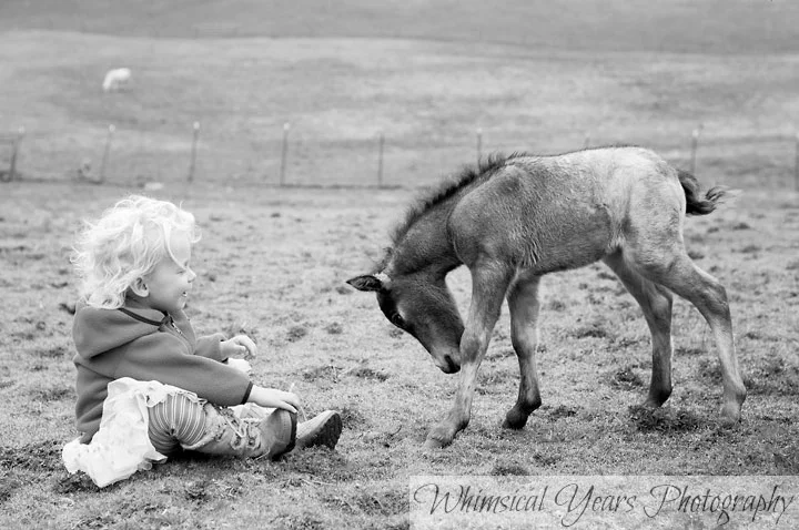 Maine childrens photographer