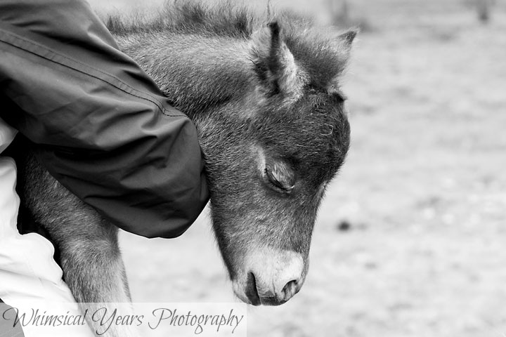 Maine childrens photographer