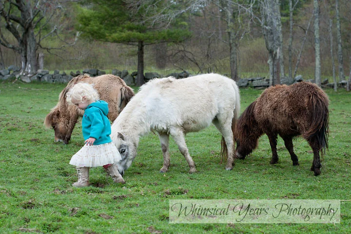 Maine childrens photographer