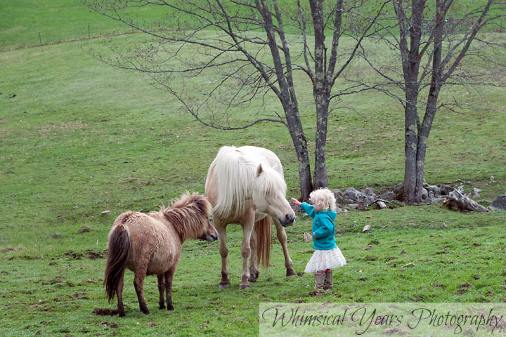Maine childrens photographer