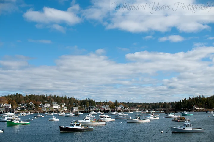 DSC_0089-copy.jpg