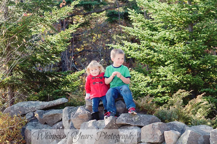 DSC_0415-copy.jpg