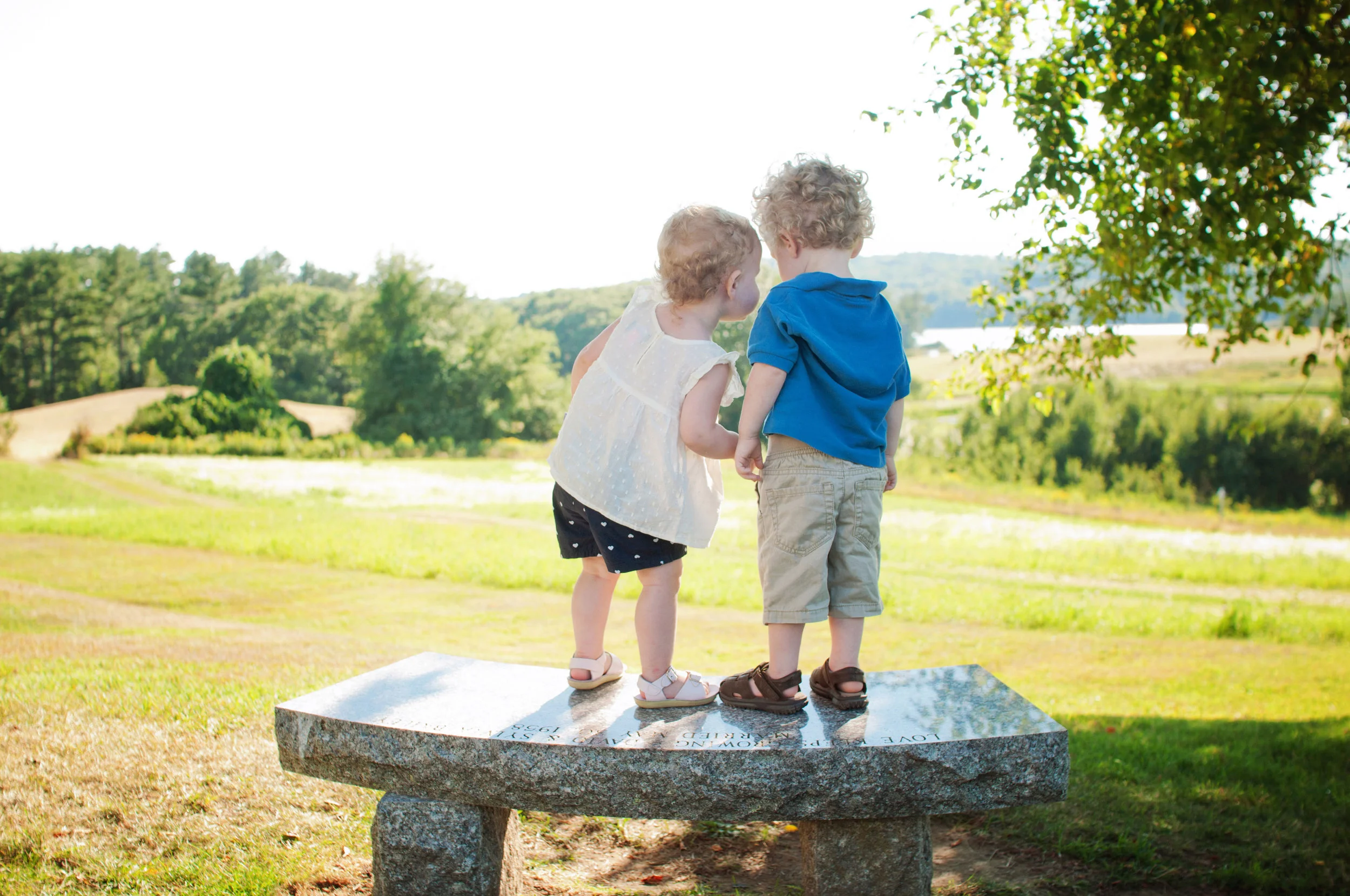 two toddlers standing on a bench together overlooking a meadow
