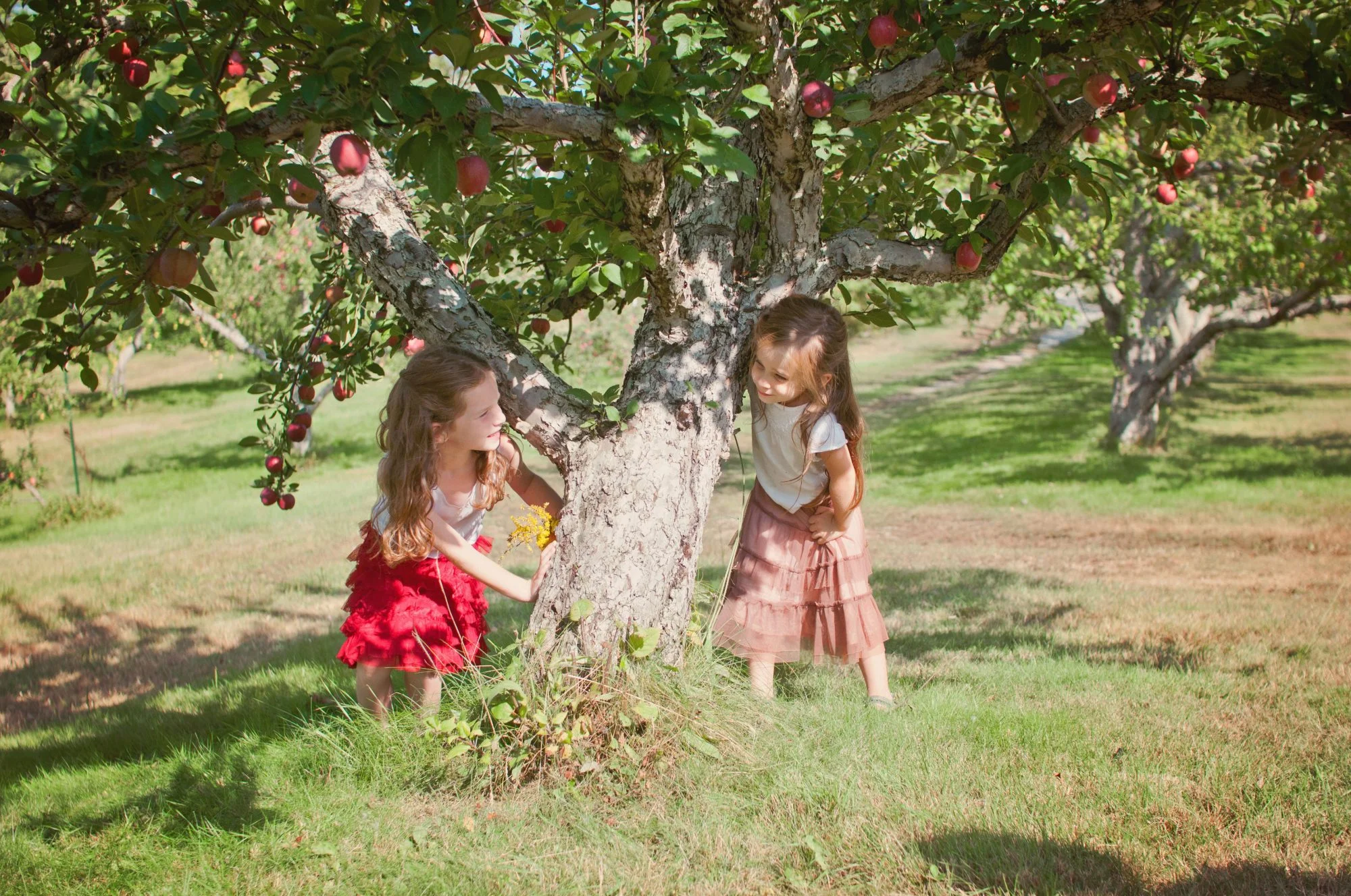 Two sisters playing at an apple orchard