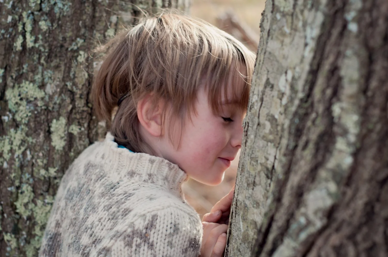 young boy between two tree trunks smiling shyly