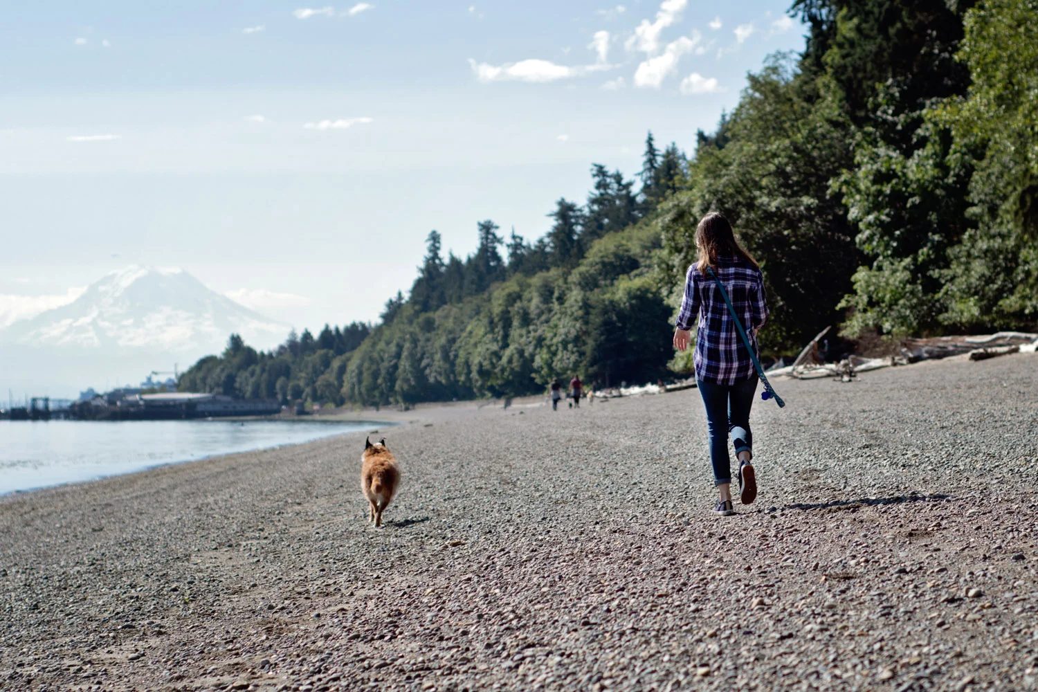 Older dog and owner running together on Owen’s Beach with Mt Rainier in the distance
