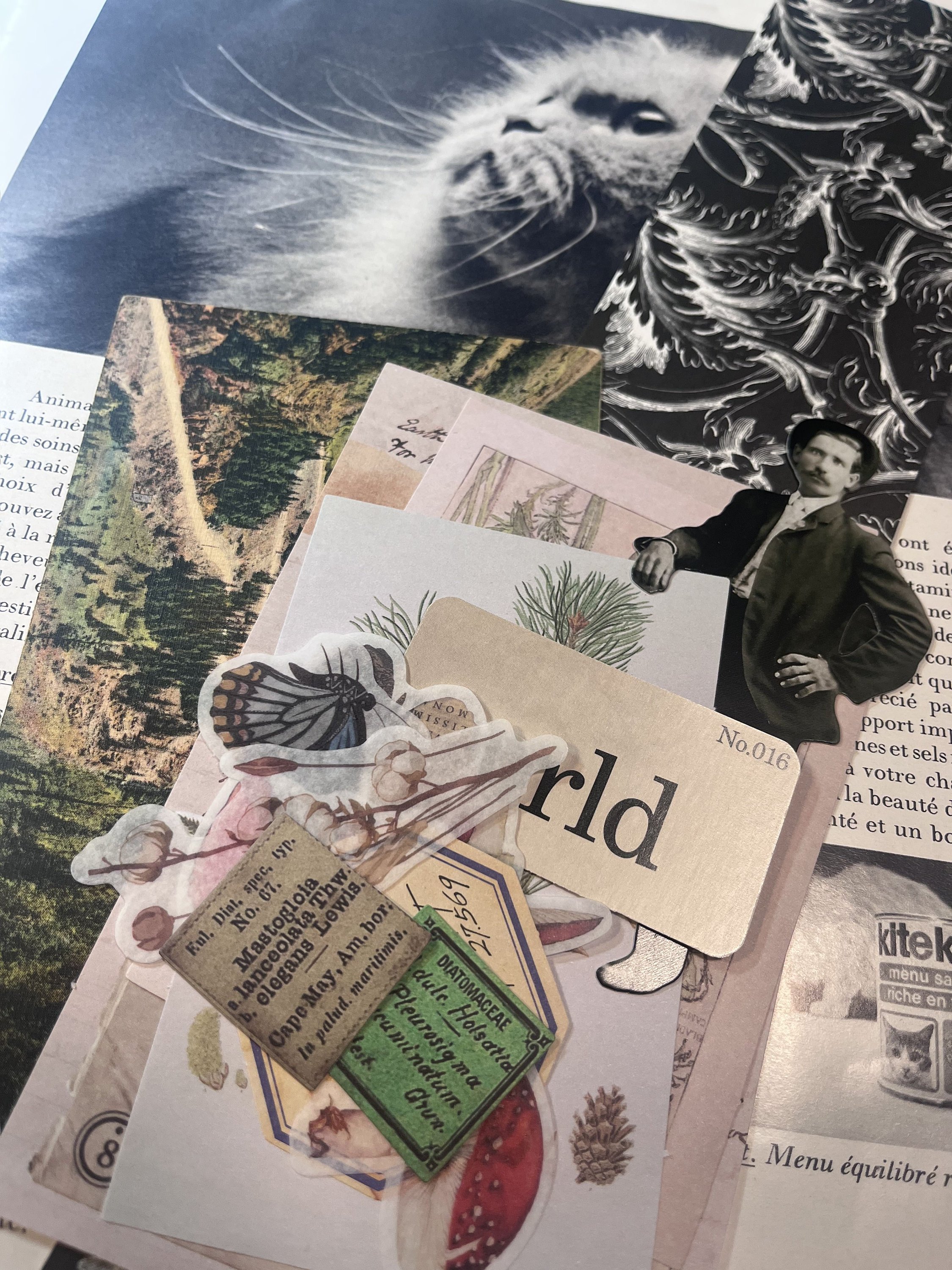 https://i.etsystatic.com/23951800/r/il/c1f081/4389125245/il_fullxfull.4389125245_5dzd.jpg