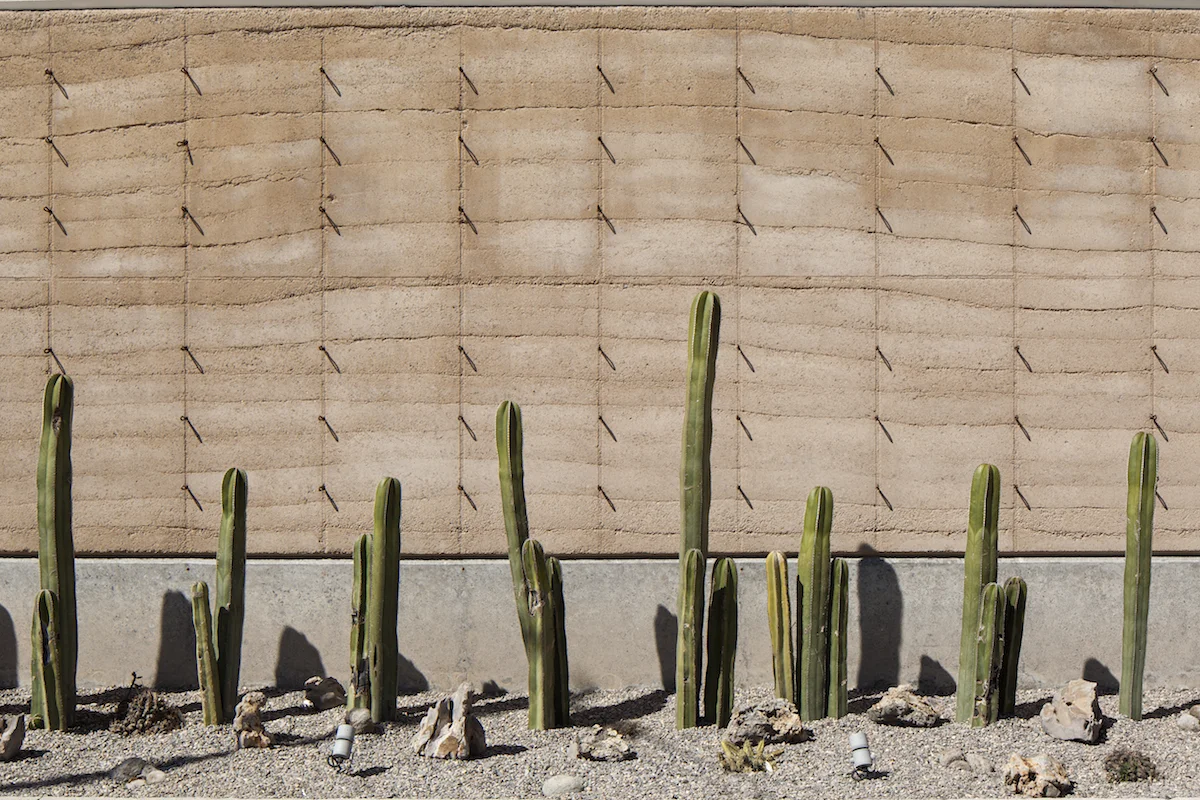 _MG_9905 copy1200x800.jpeg