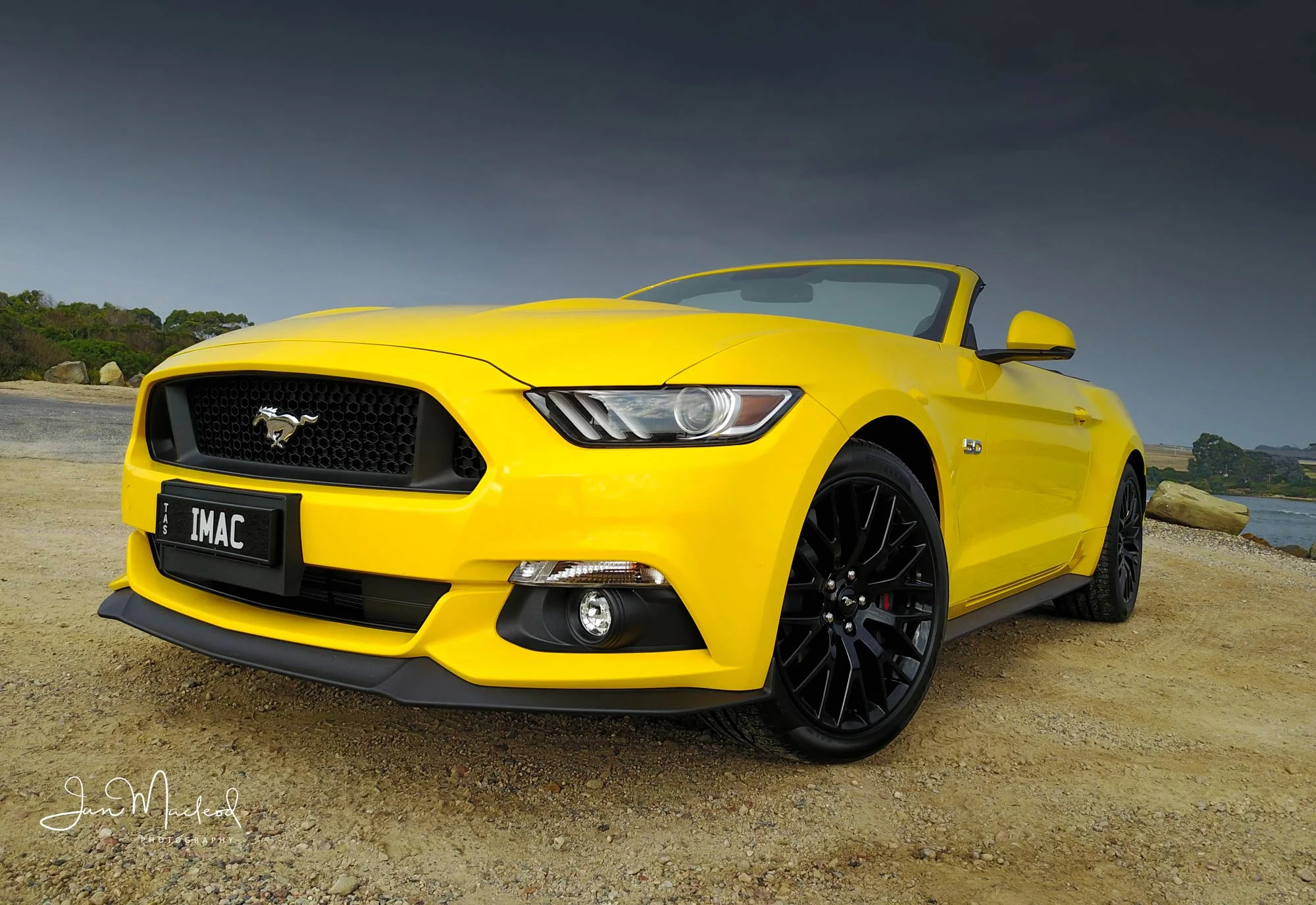 Mustang-0126.jpg