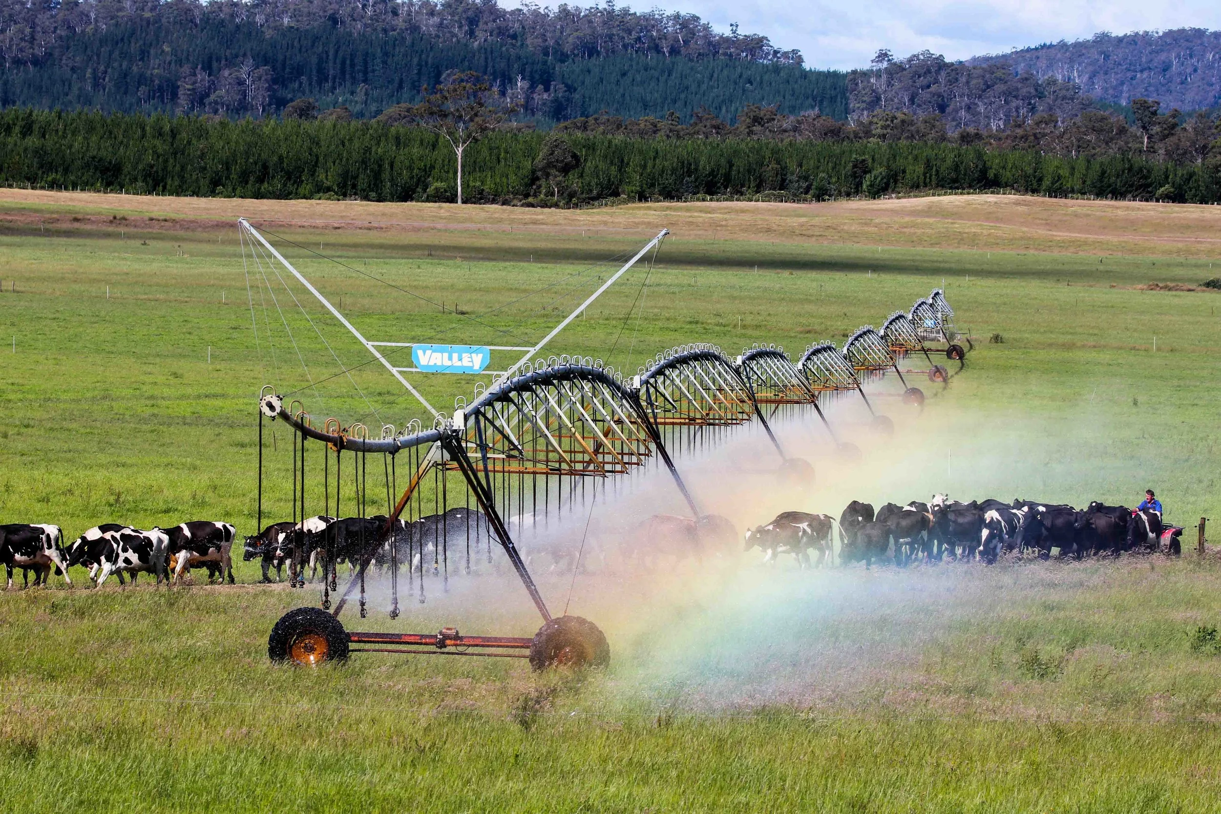 Agriculture-2759.jpg