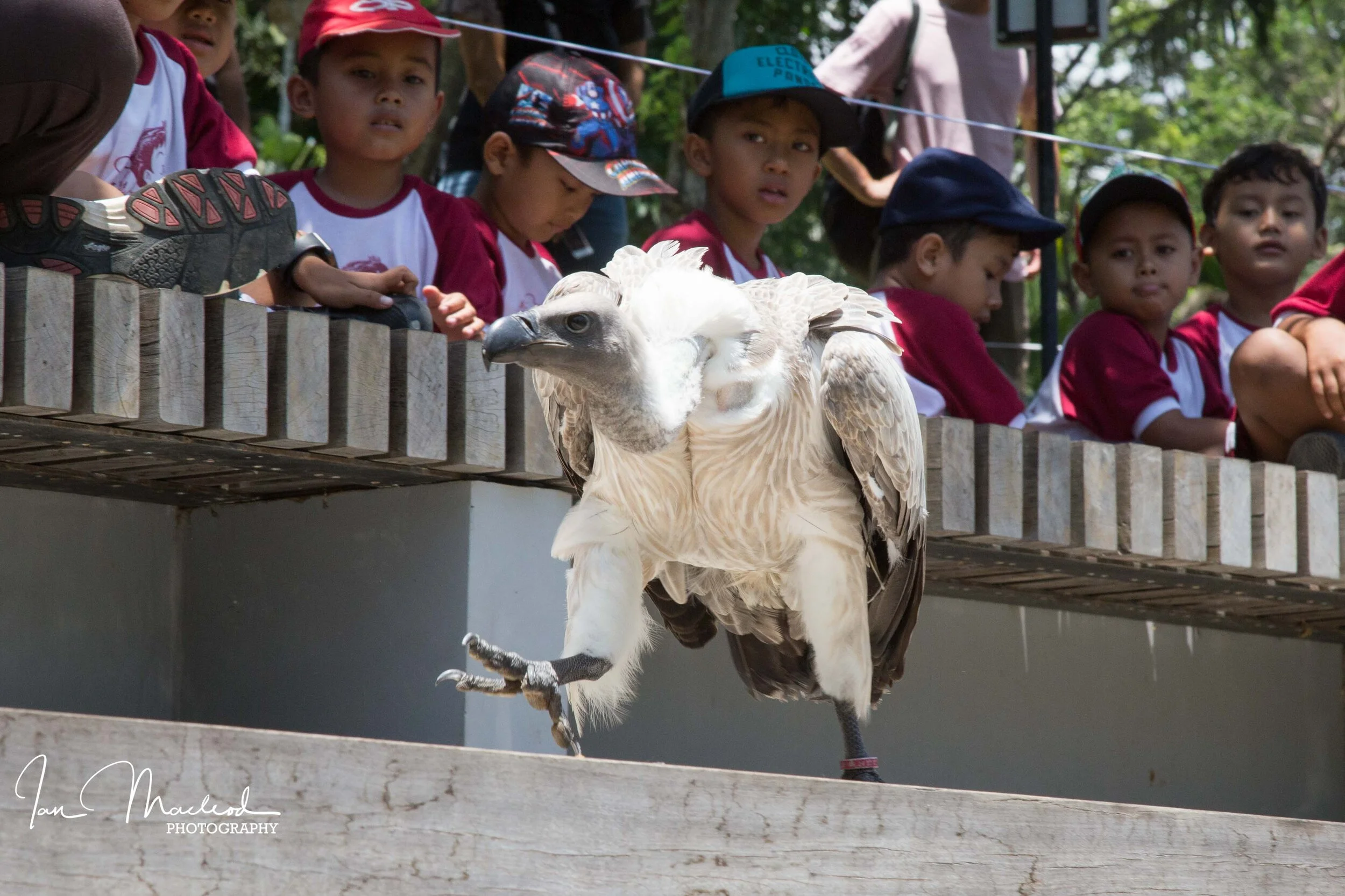 Web site photos Spring 2019-6540.jpg