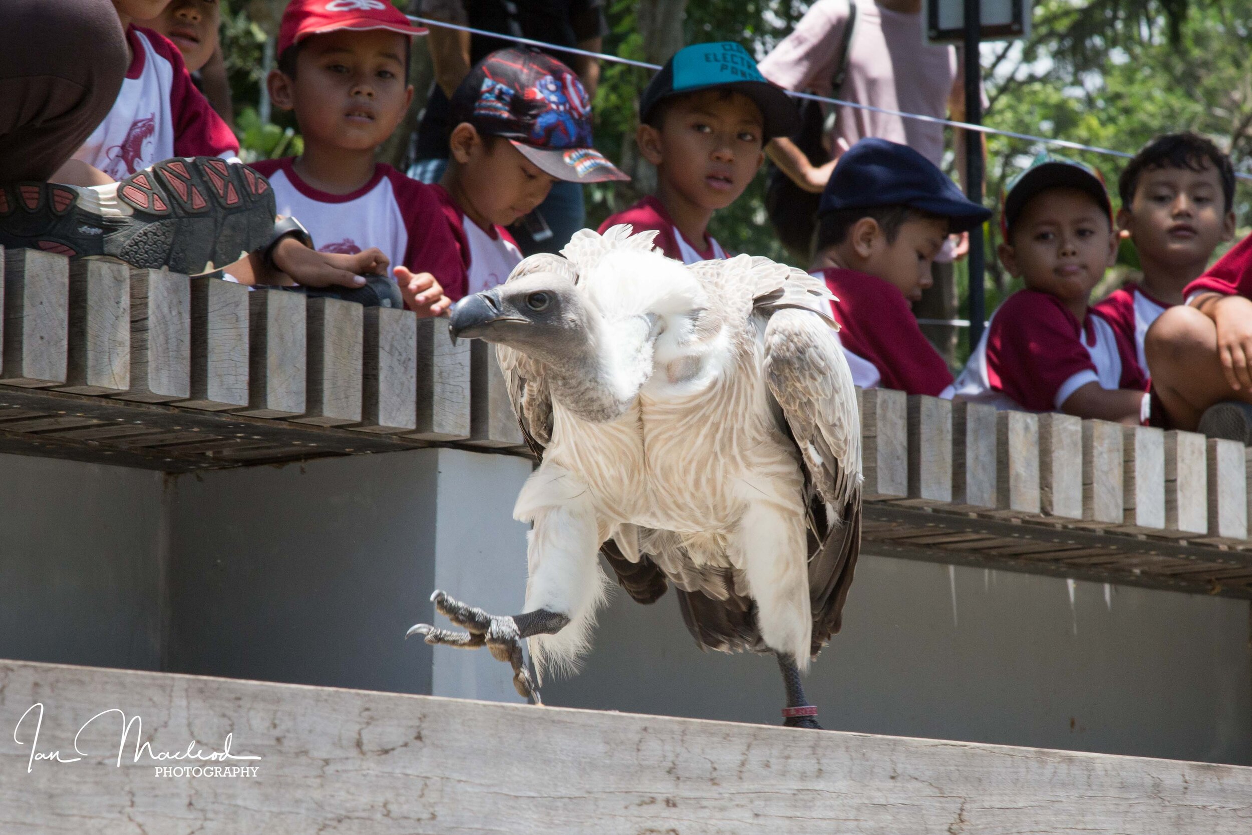 Web site photos Spring 2019-6540.jpg