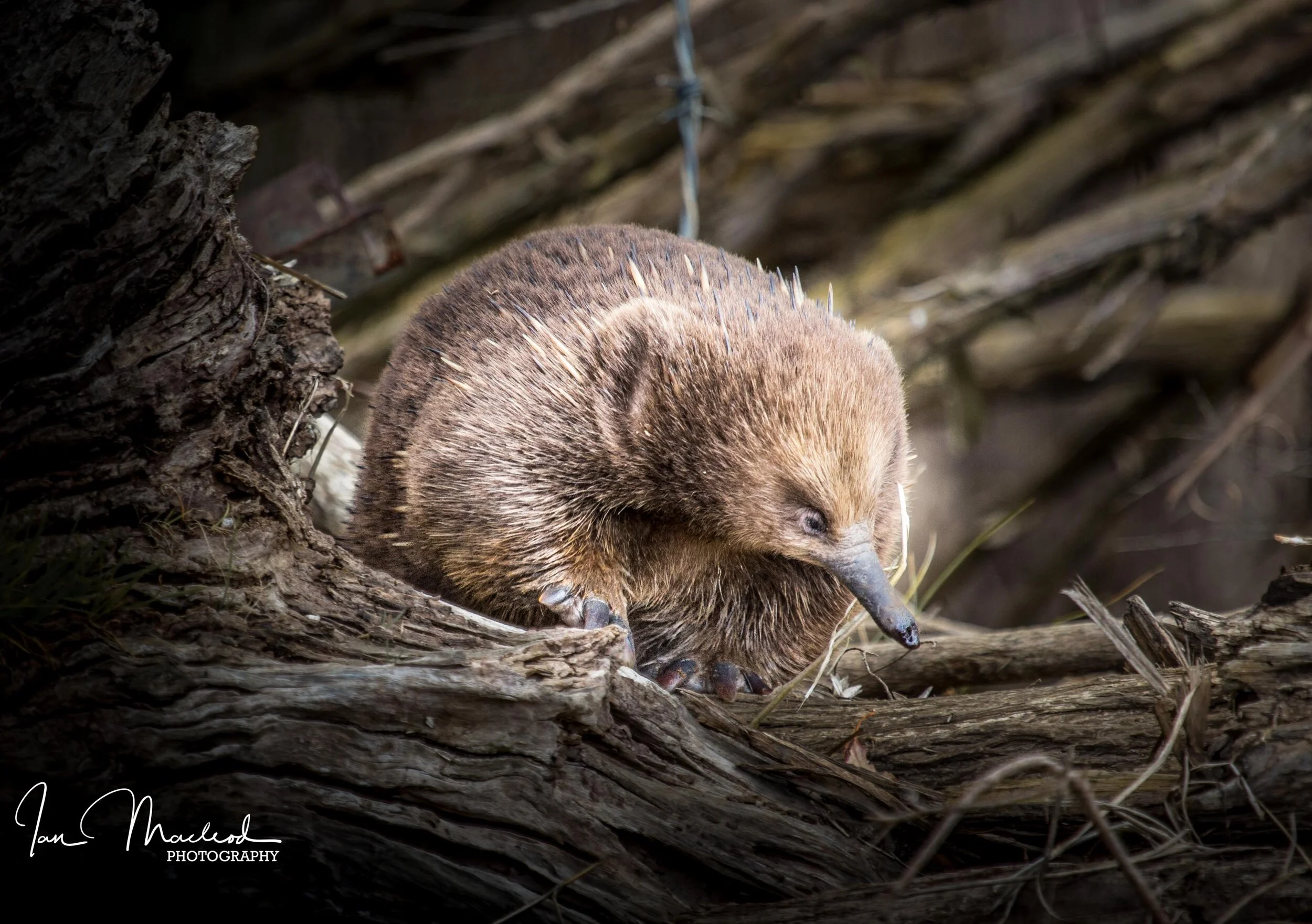 Web site photos Spring 2019-5231.jpg