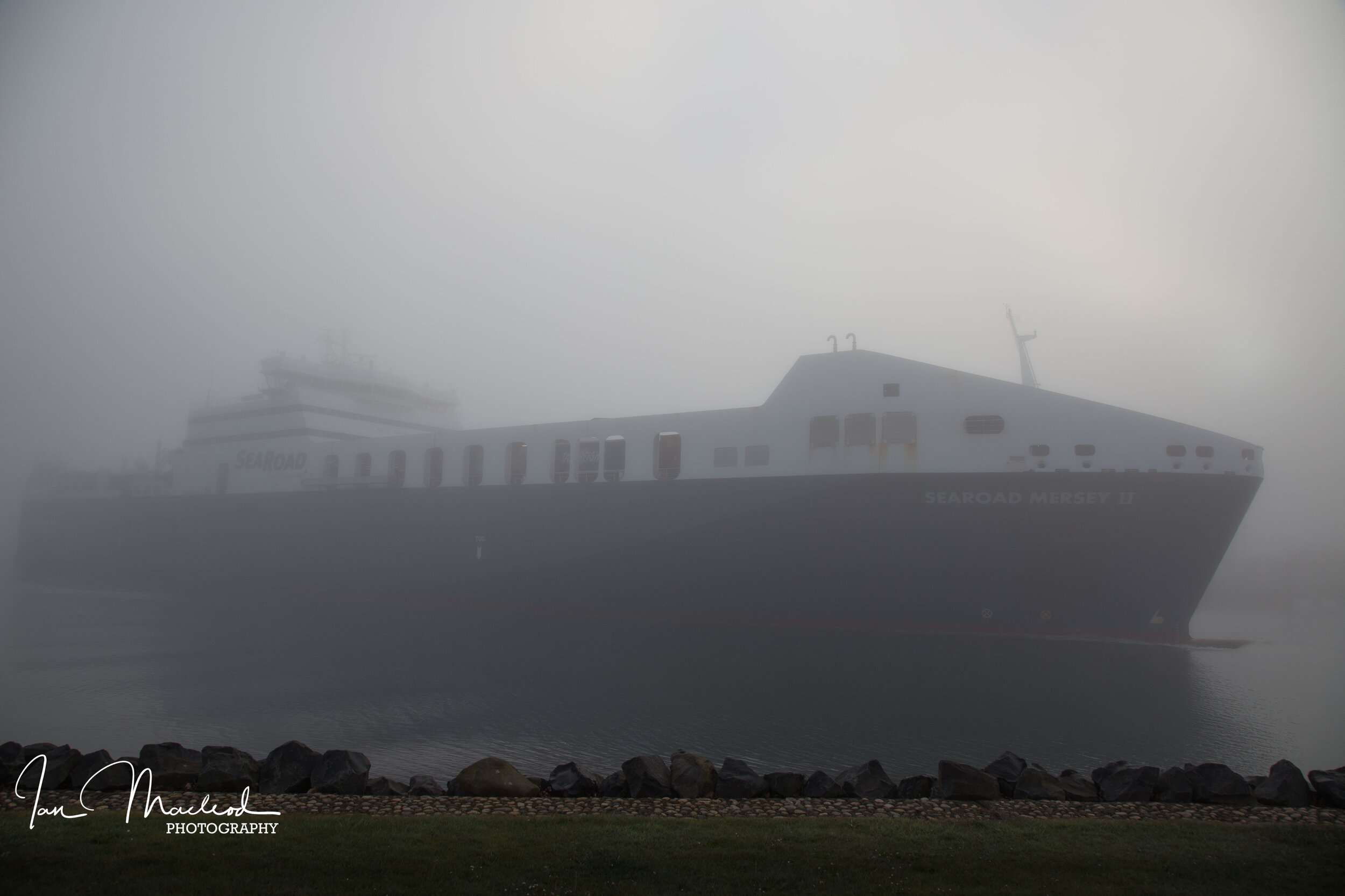 Web site photos Spring 2019-6199.jpg