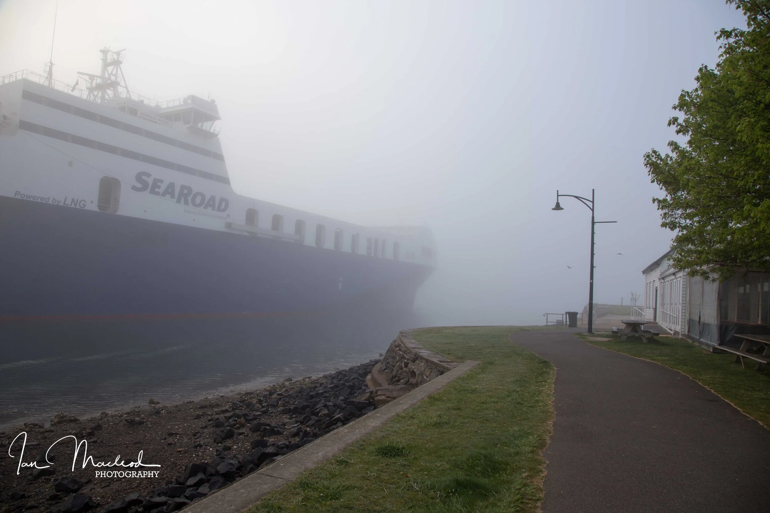 Web site photos Spring 2019-6204.jpg