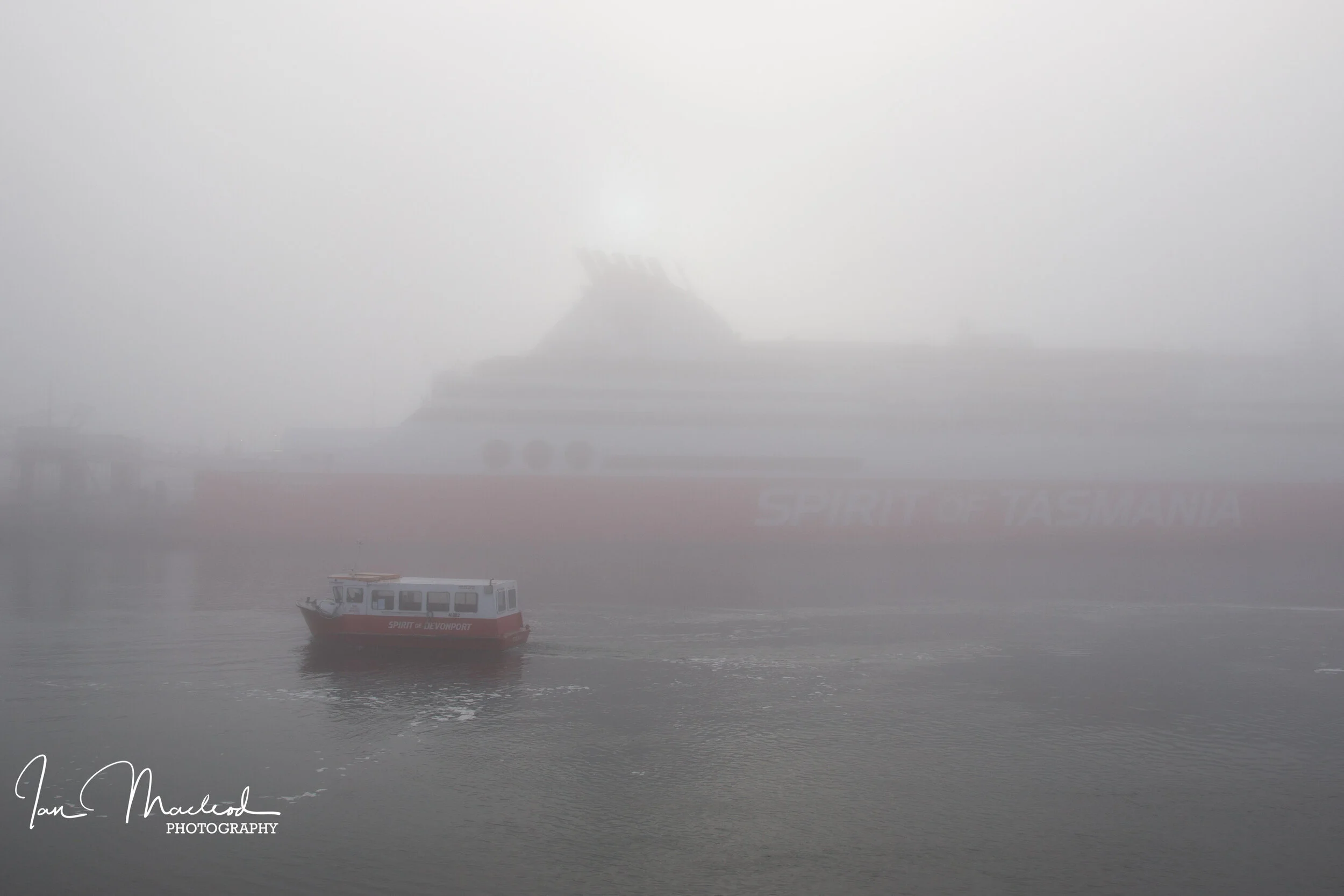 Web site photos Spring 2019-6217.jpg