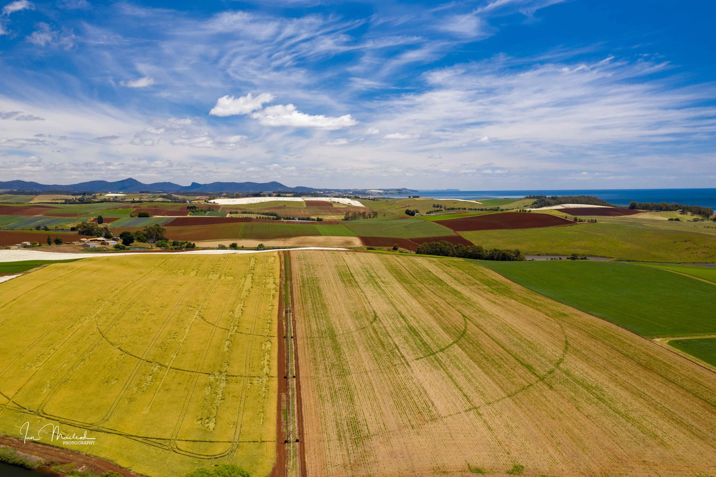 A Agriculture-0658.jpg