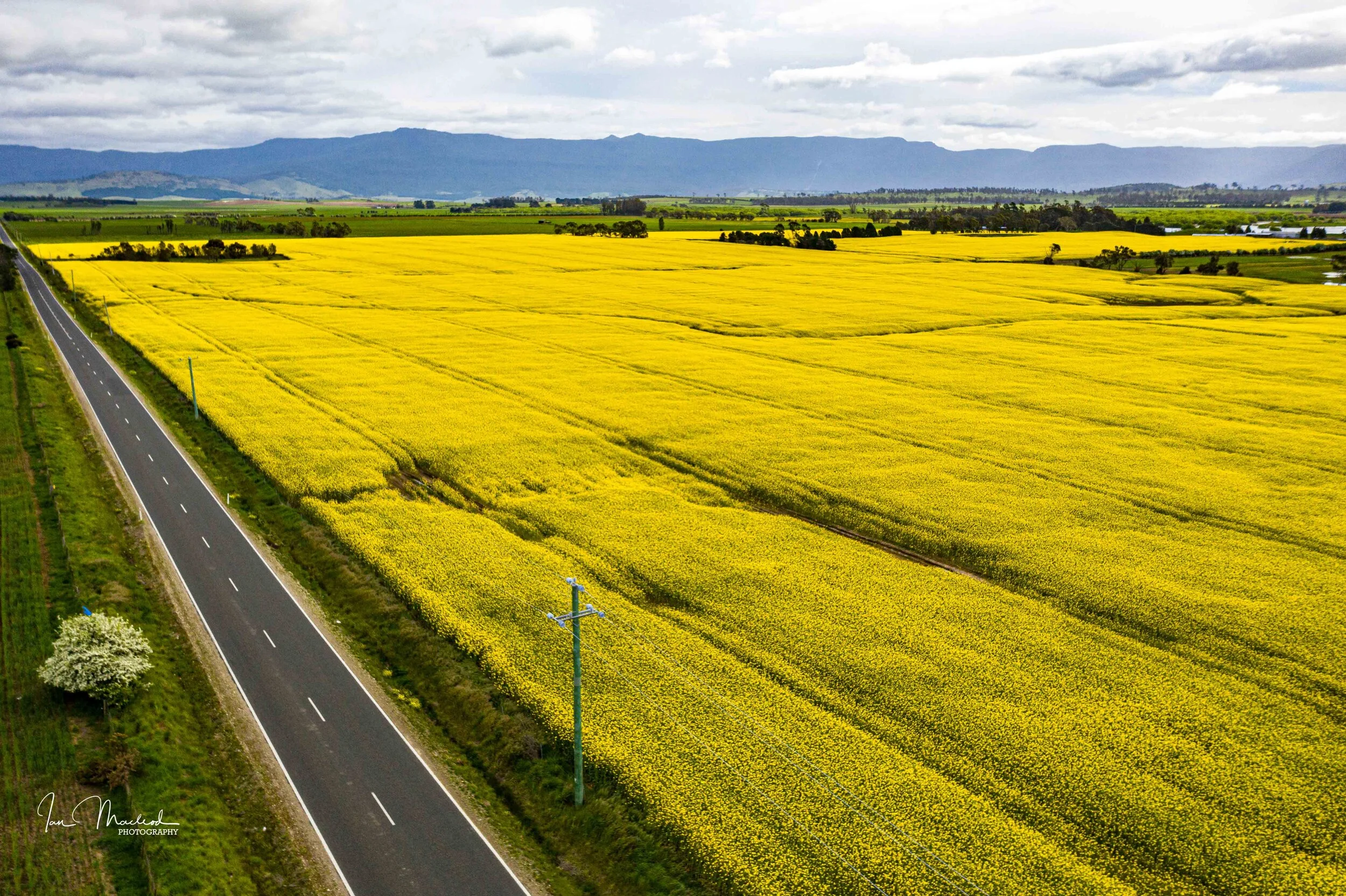 A Agriculture-0327.jpg