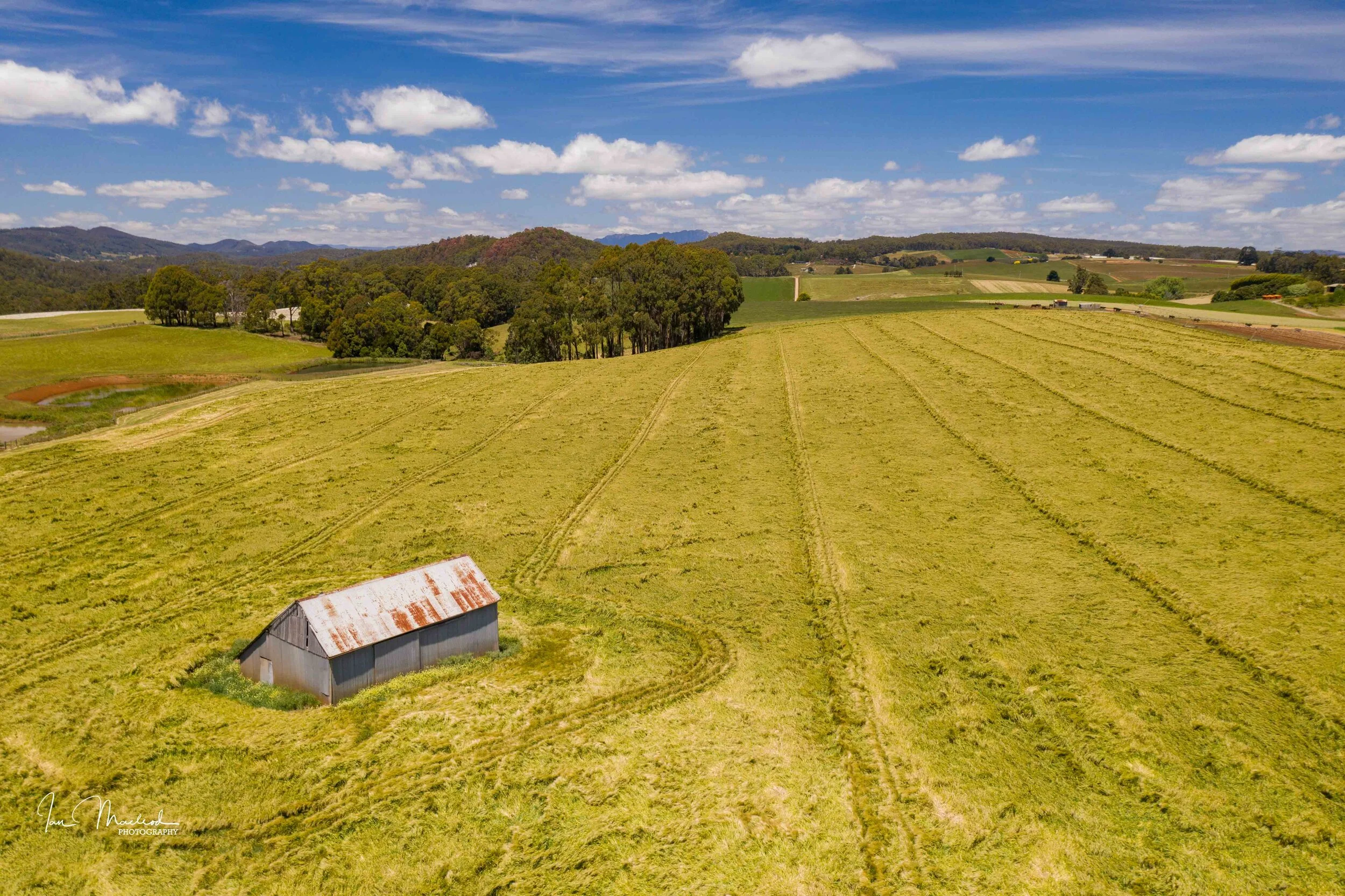 A Agriculture-0660.jpg