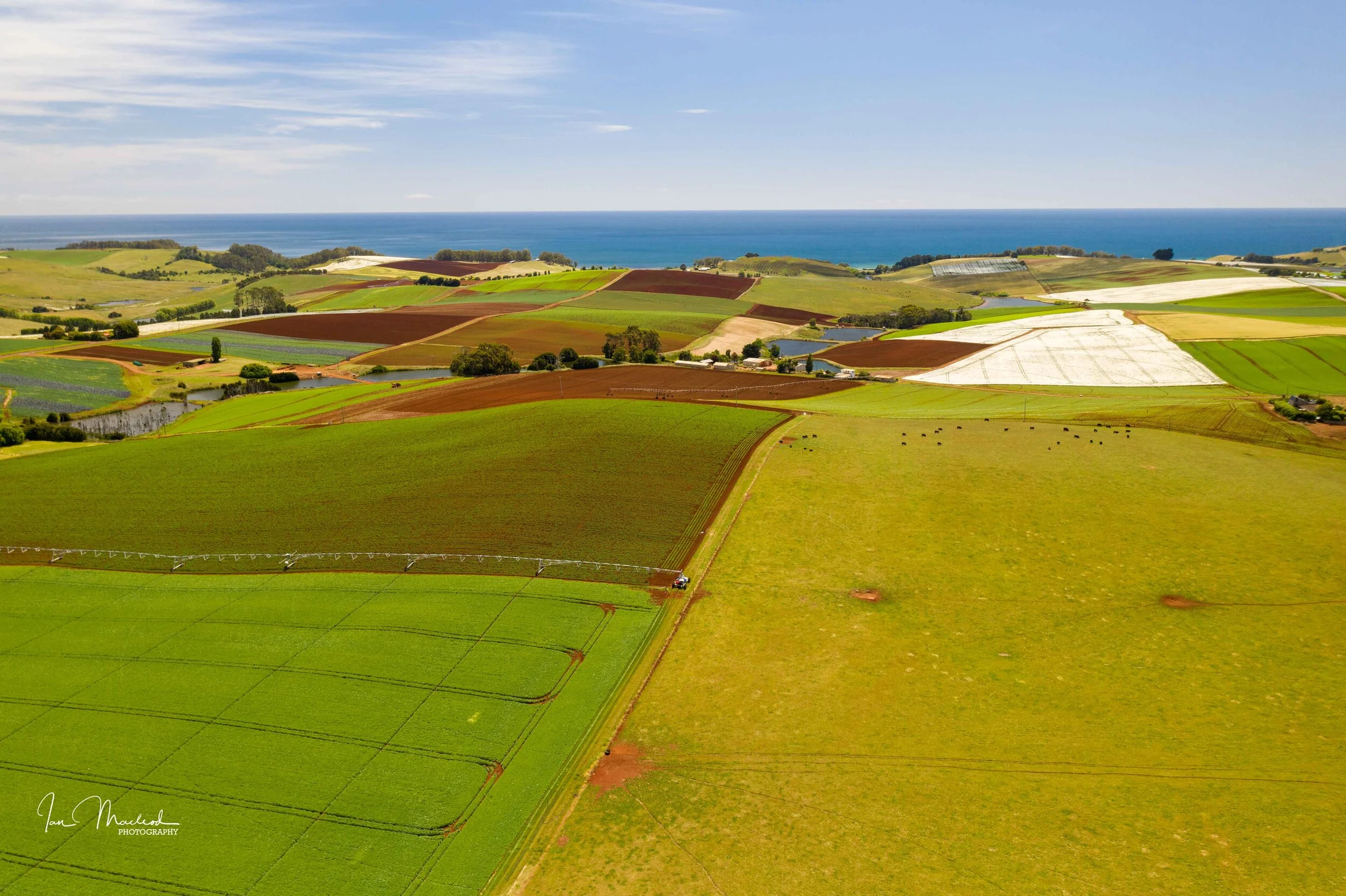 A Agriculture-0667.jpg