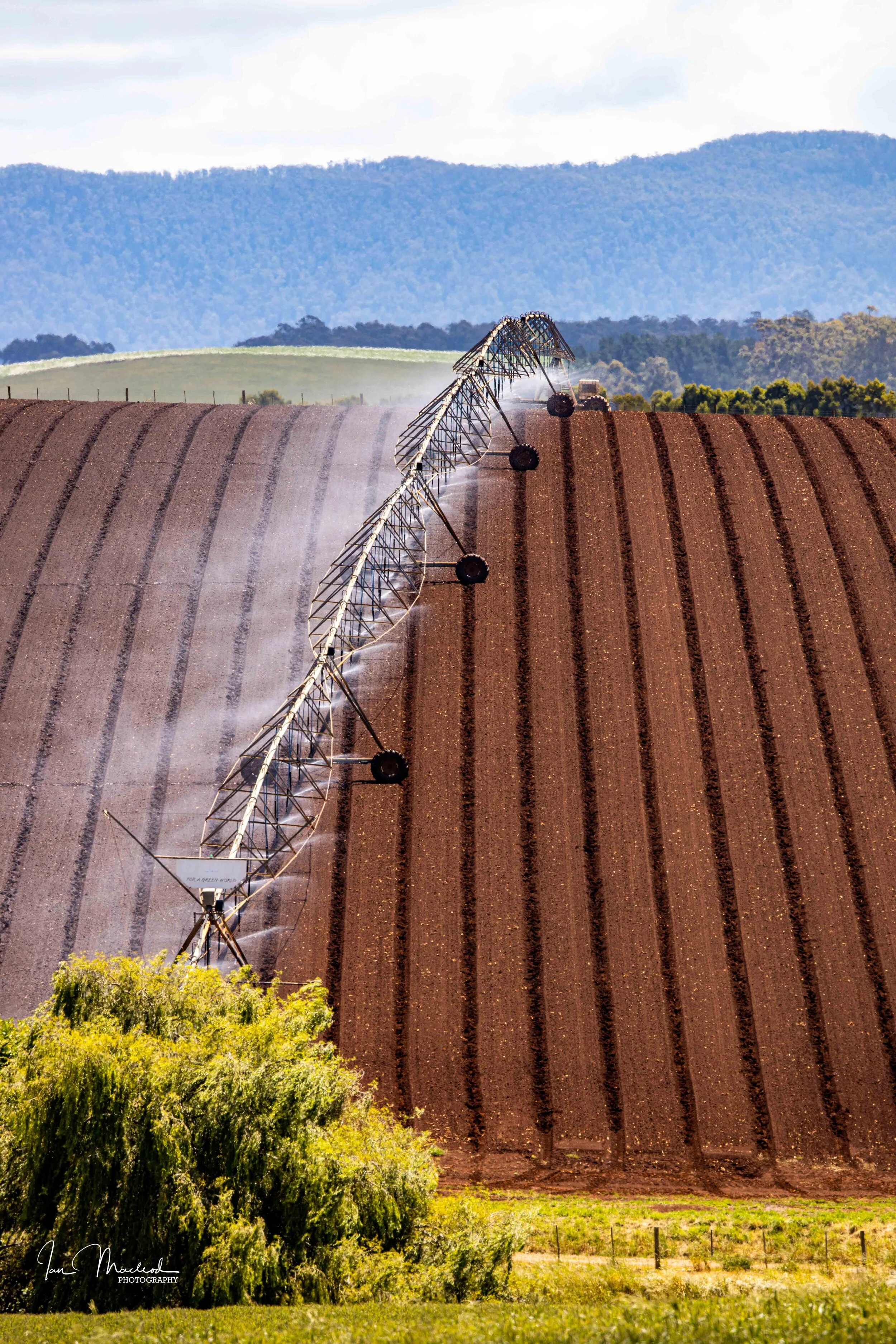 A Agriculture-6729.jpg