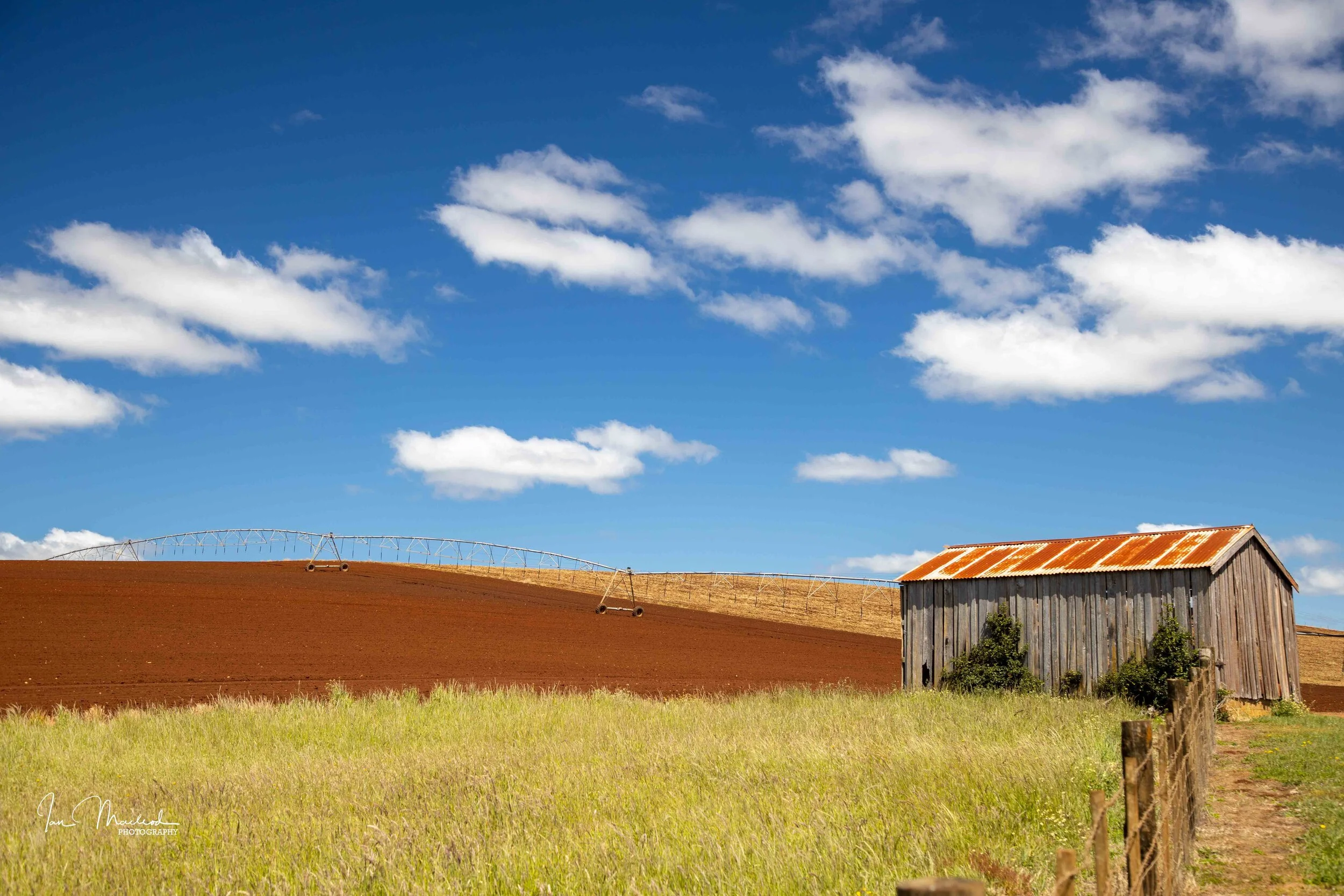A Agriculture-6748.jpg