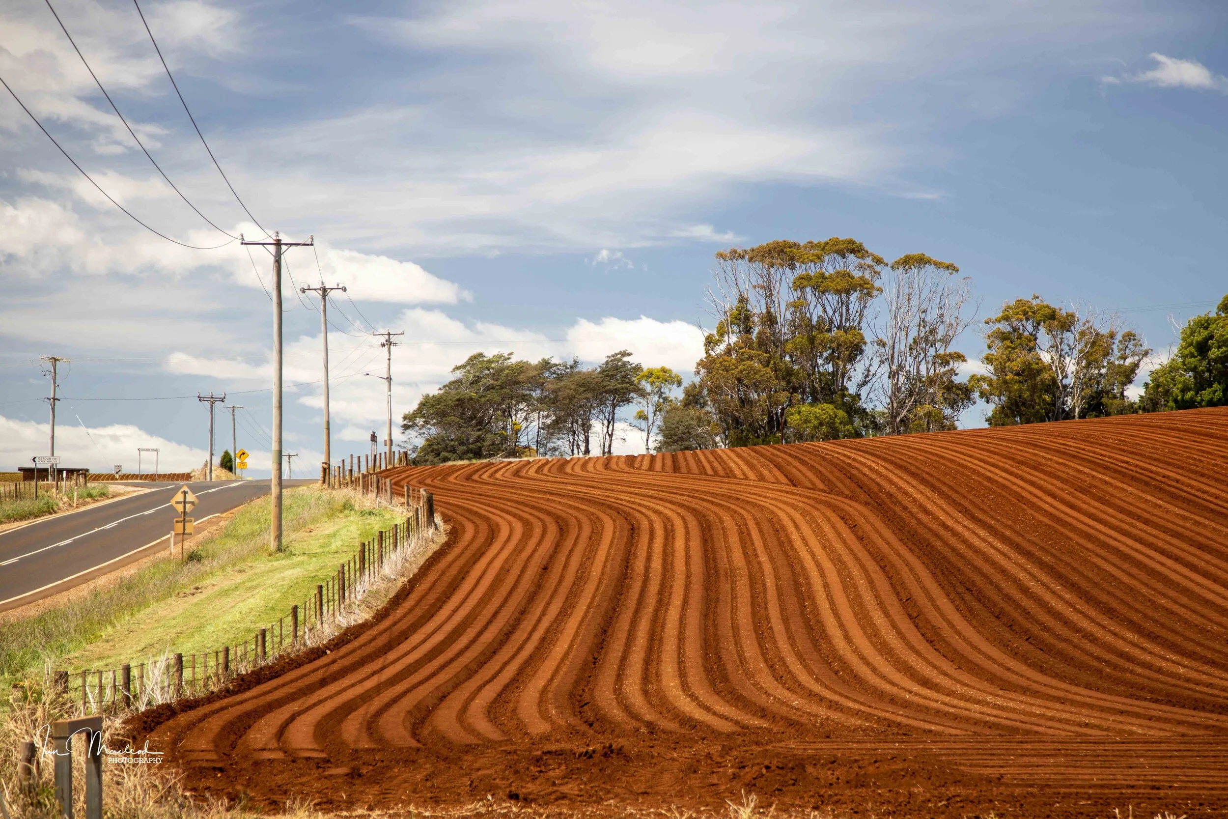 A Agriculture-6774.jpg