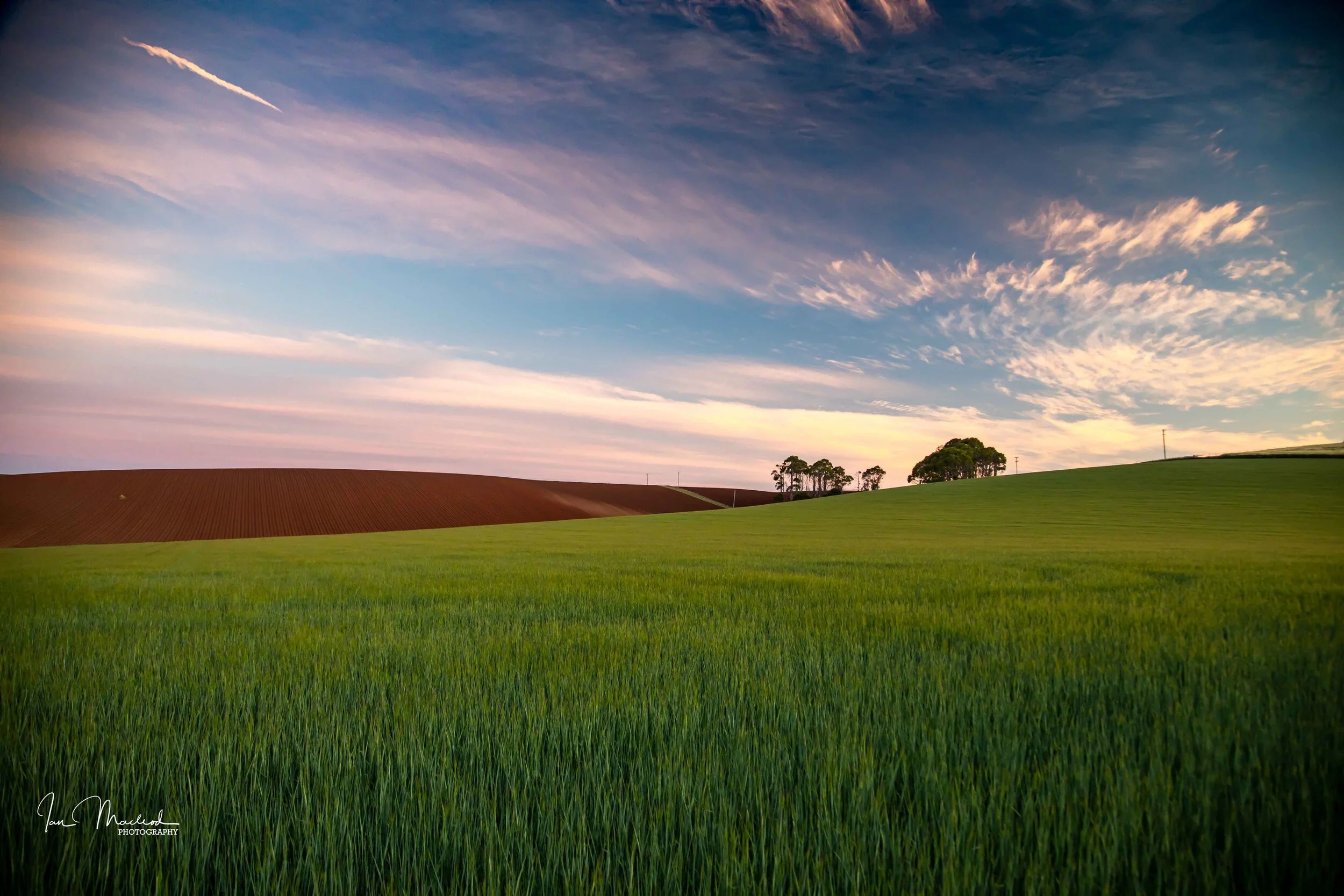 A Agriculture-6892.jpg