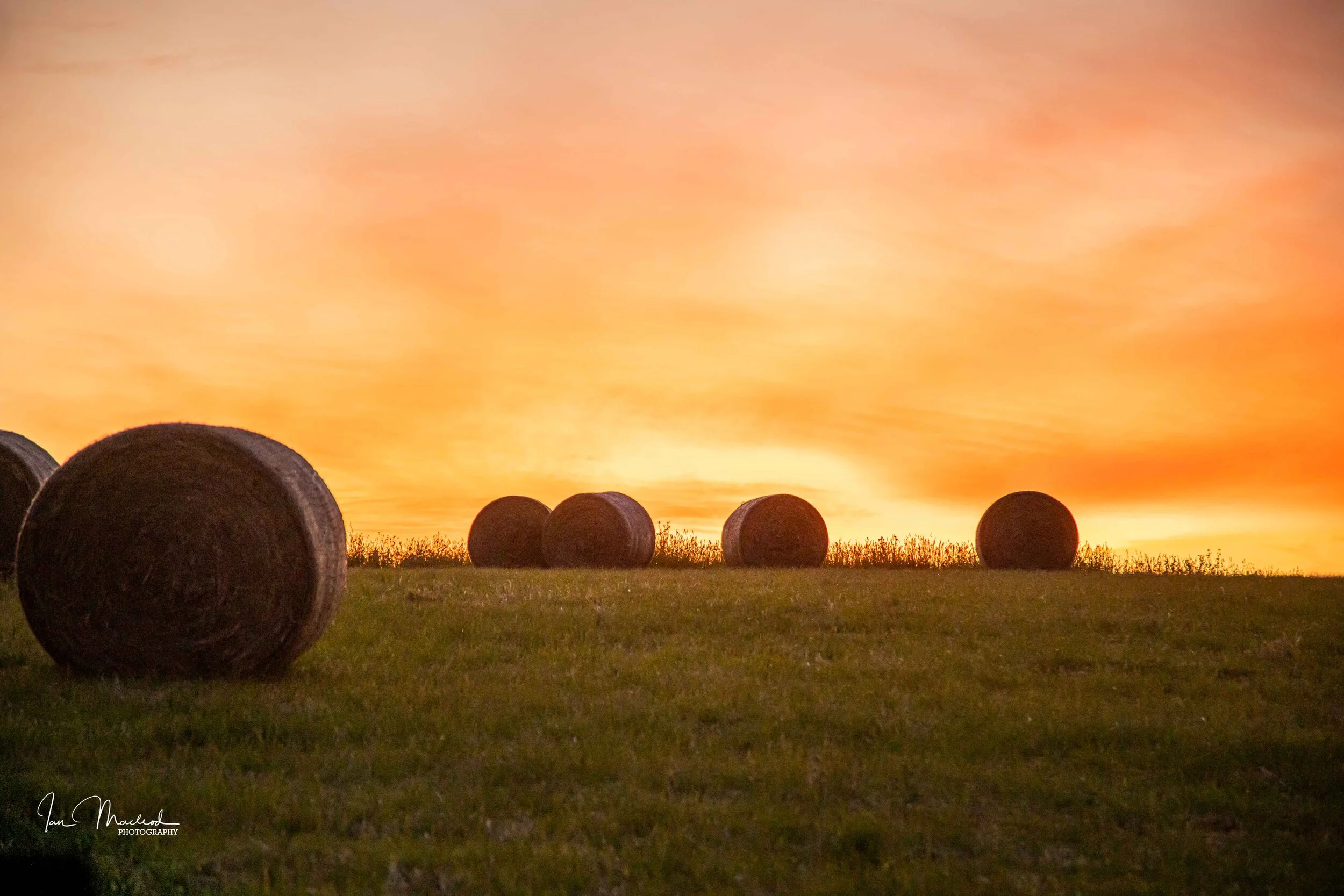 A Agriculture-6906.jpg