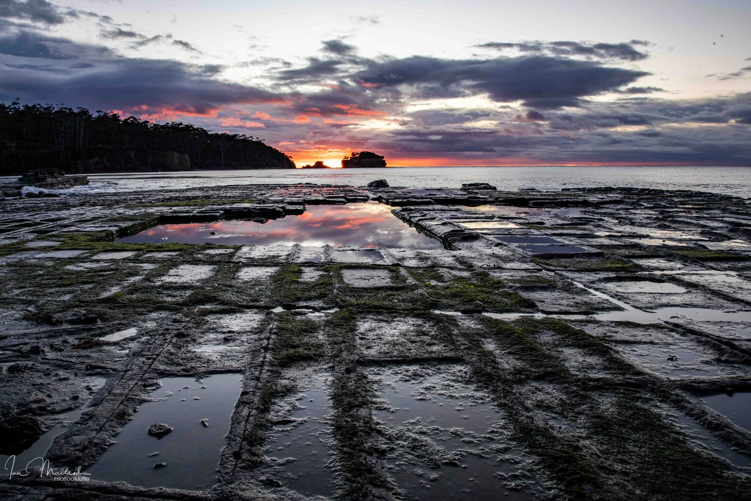 A Landscape Tesselated-4627.jpg