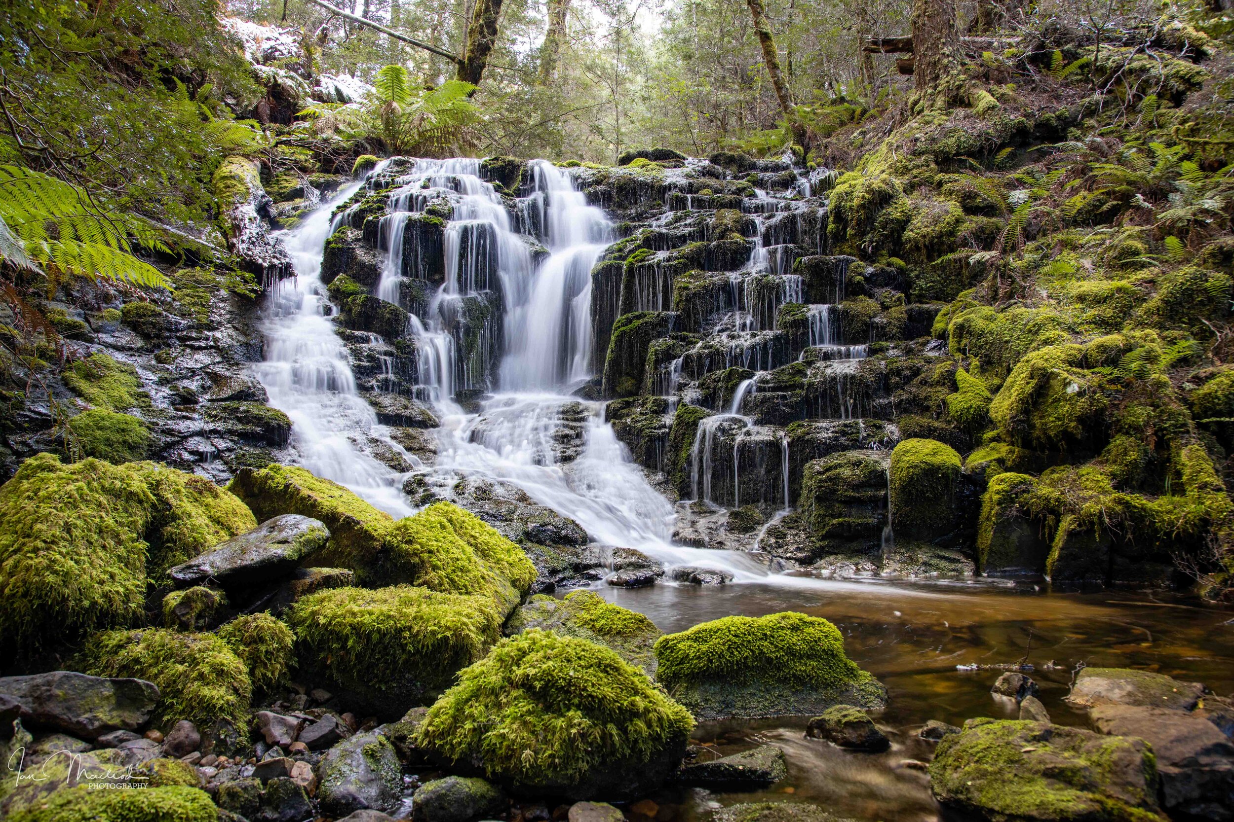 A Landscape-3736.jpg