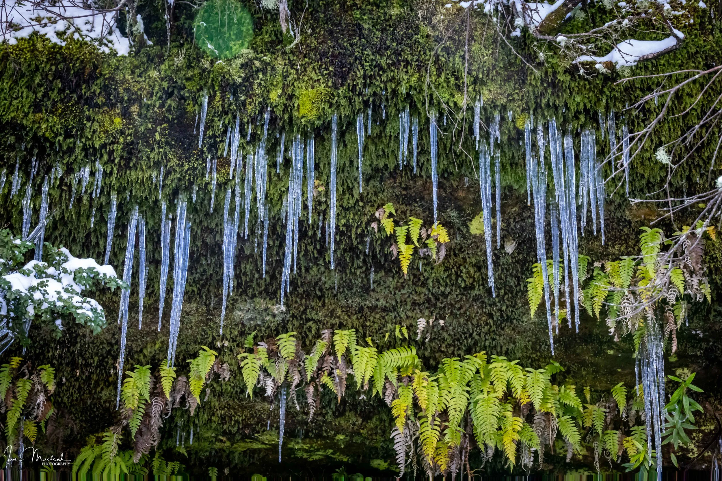 A Landscape - Icicles-4072.jpg