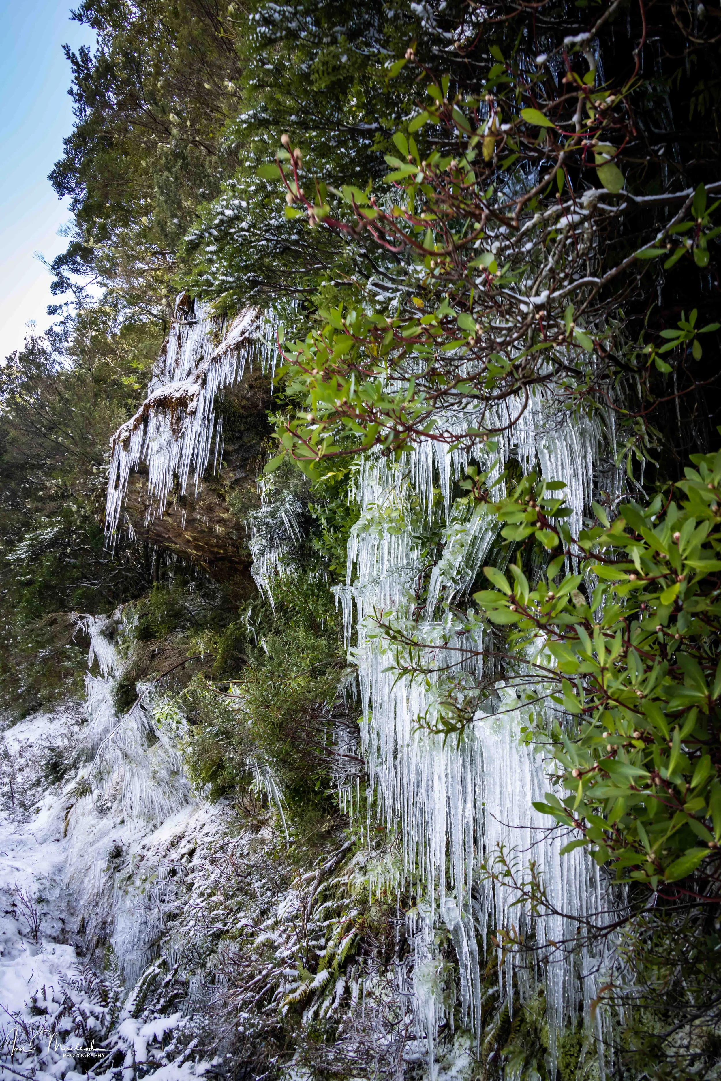 A Landscape - Icicles-4075.jpg