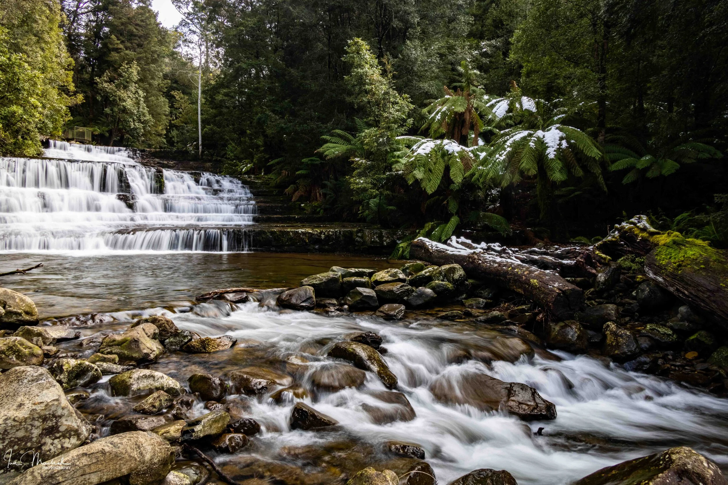 A Landscape - Liffey Falls-4094.jpg