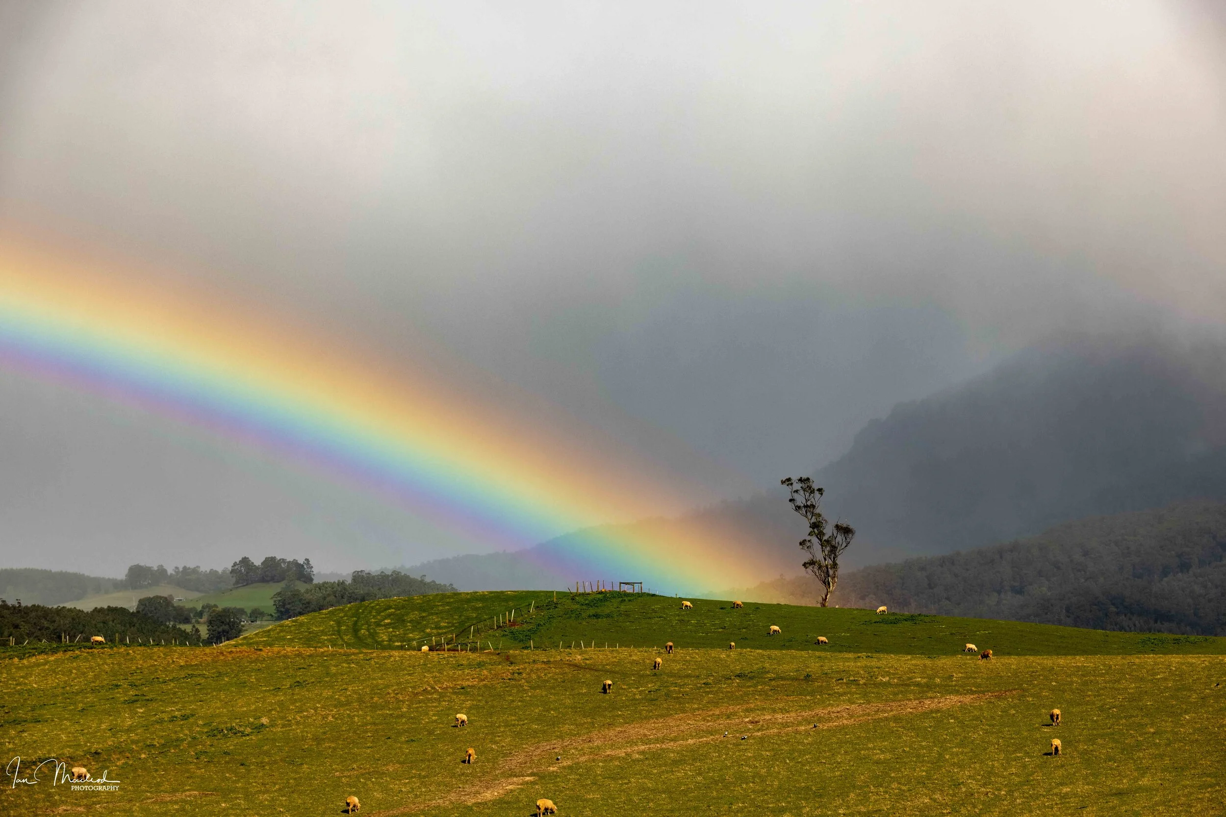 A Landscape - Rainbow-3169.jpg