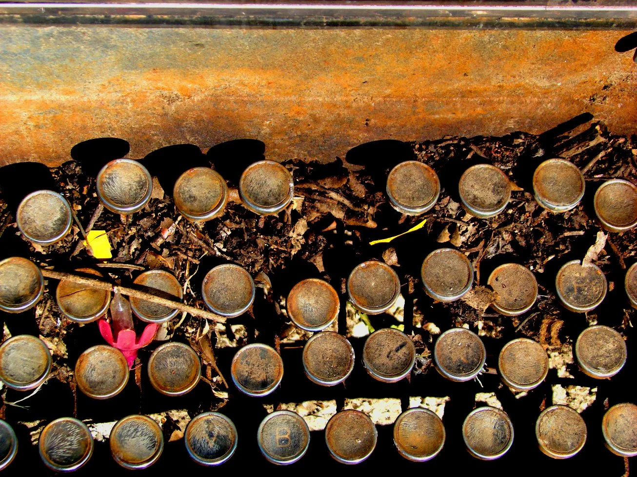 SM E. rusty nameless keys.jpg