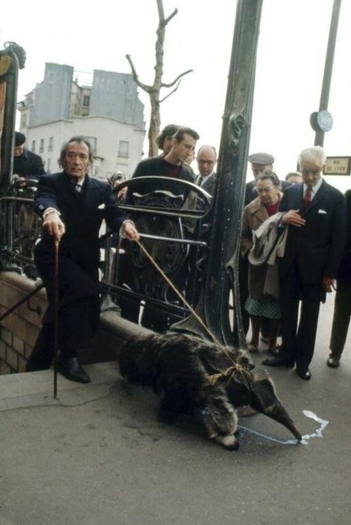 Dali exits London Underground w/pet Anteater