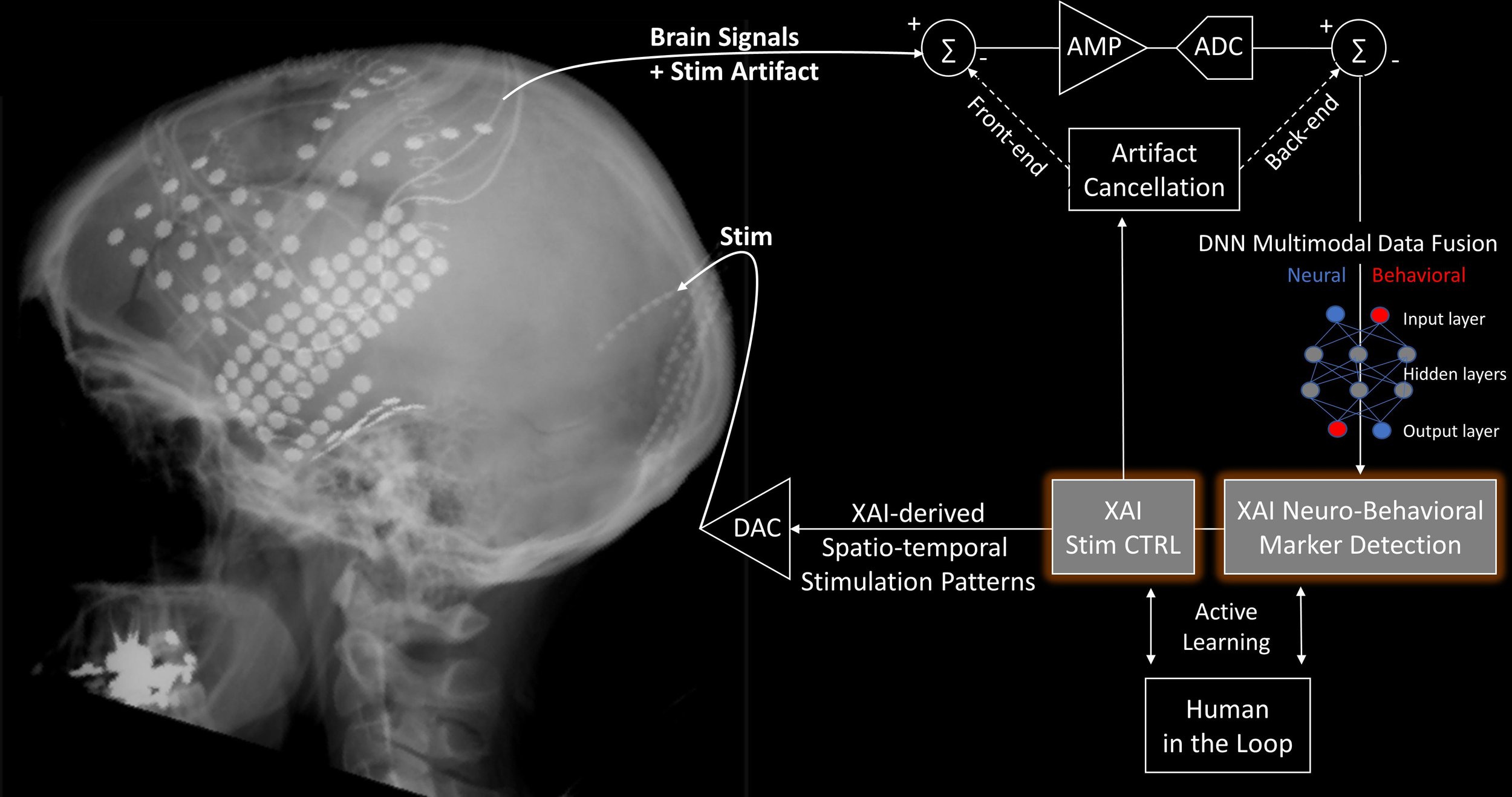 Explainable Artificial Intelligence for Neuroscience- Behavioral Neurostimulation