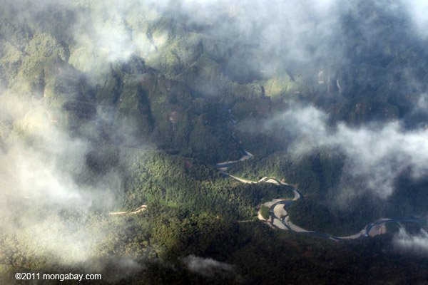 Where the Andes meets the Amazon